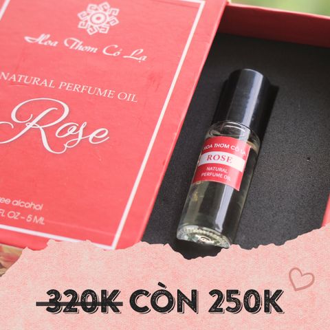 Tinh Dầu Nước Hoa Hồng - Rose Perfume Oil