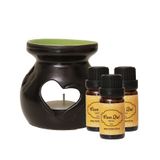 Tinh dầu Cam Quế - Blend Essential Oil - Hoa Thơm Cỏ Lạ