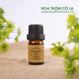 Tinh Dầu Hương Nhu - Holy Basil Essential Oil