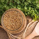 Tinh Dầu Hạt Mùi Già - Coriander Seed Essential Oil - Hoa Thơm Cỏ Lạ