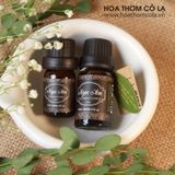 Tinh Dầu Ngọc Am - Cupressus Funebris Essential Oil