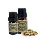 Tinh Dầu Tiểu Hồi - Fennel Essential Oil - Hoa Thơm Cỏ Lạ