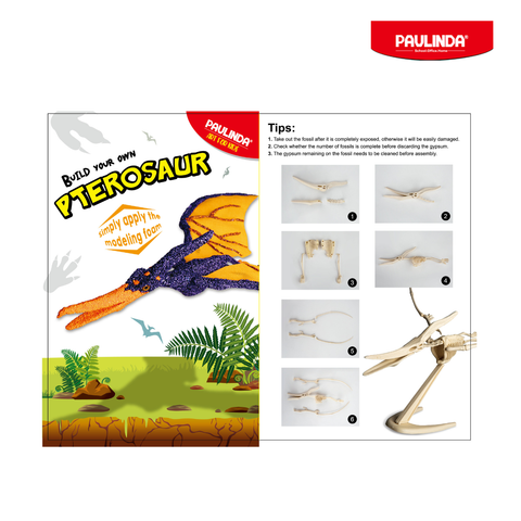  Đồ chơi khảo cổ khủng long Pterosaur Paulinda 