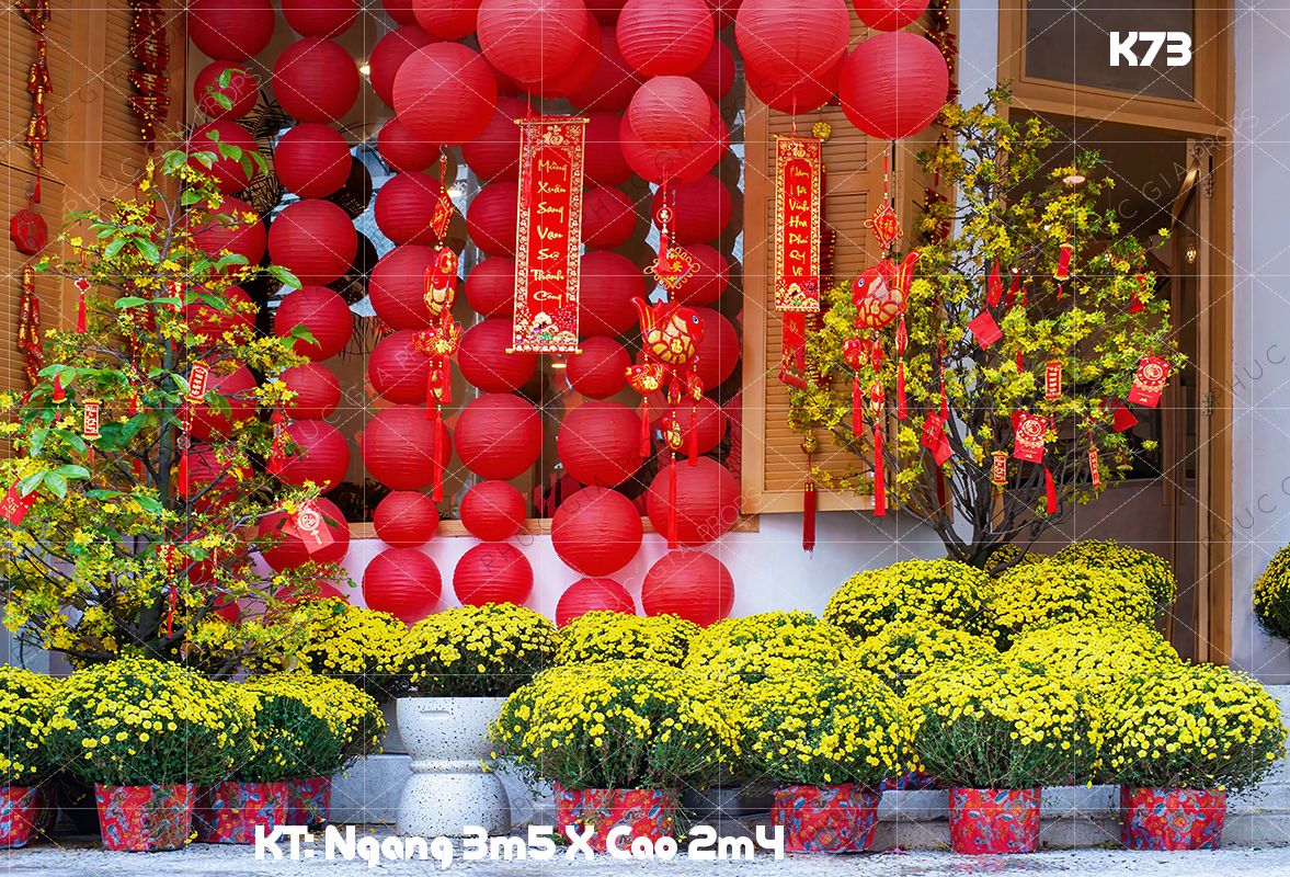Phông Tết Decor K73