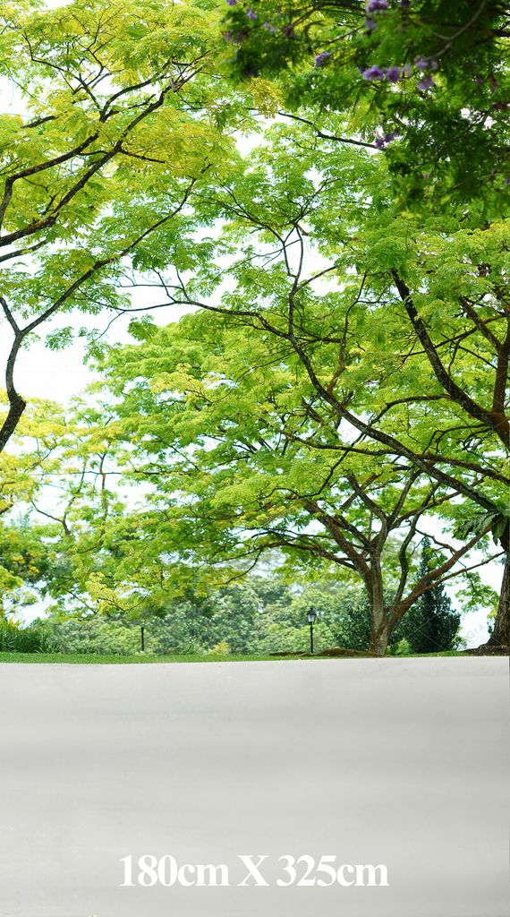 Phông Nền Chụp Hình C31