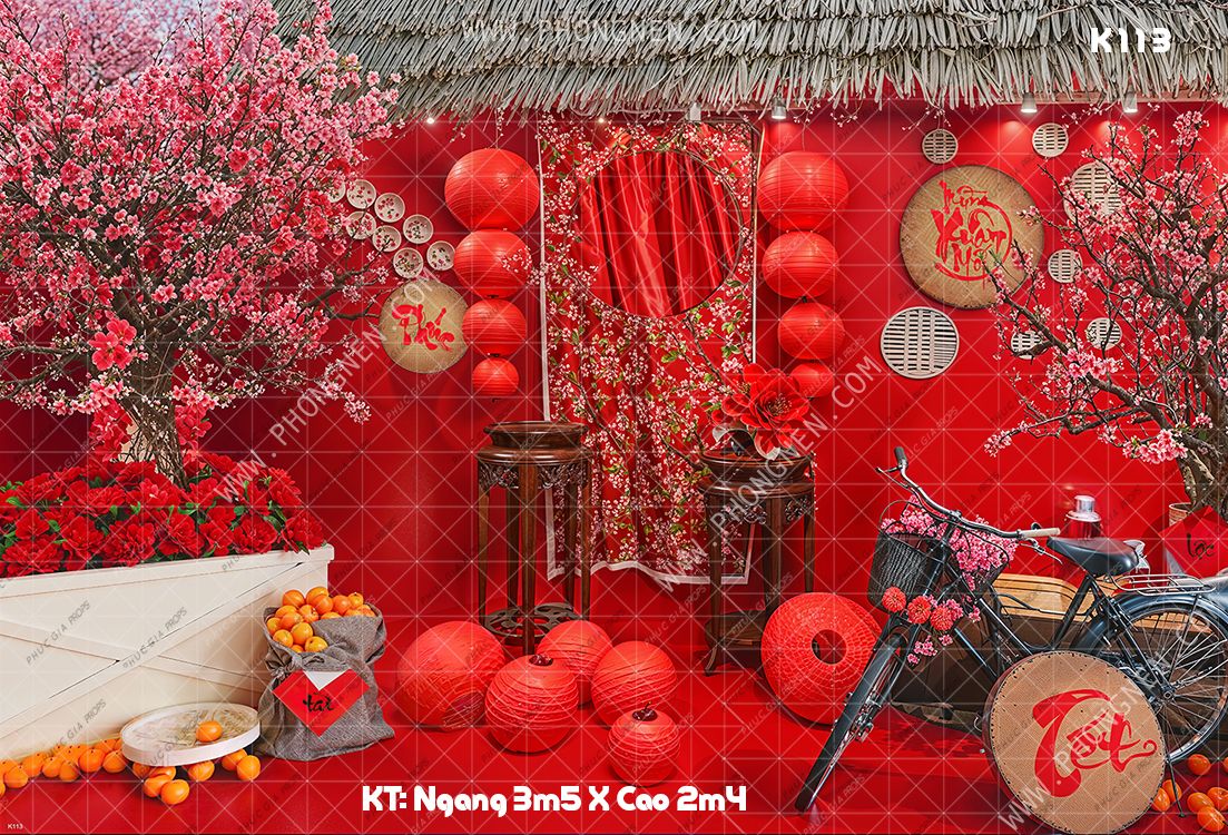 Phông Tết Decor K113
