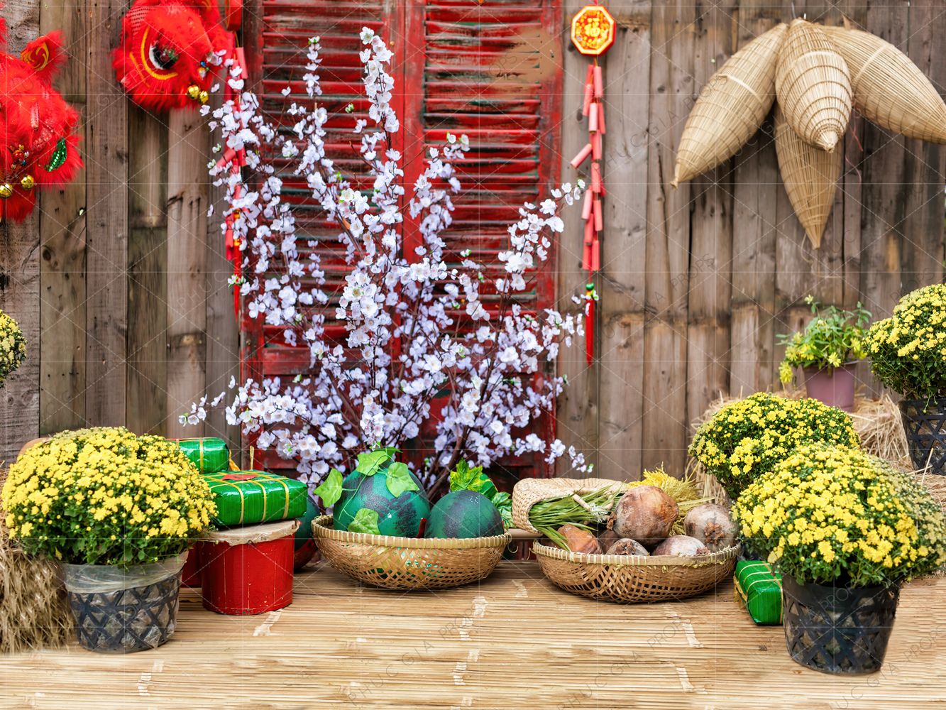 Phông Chụp Ảnh - T835