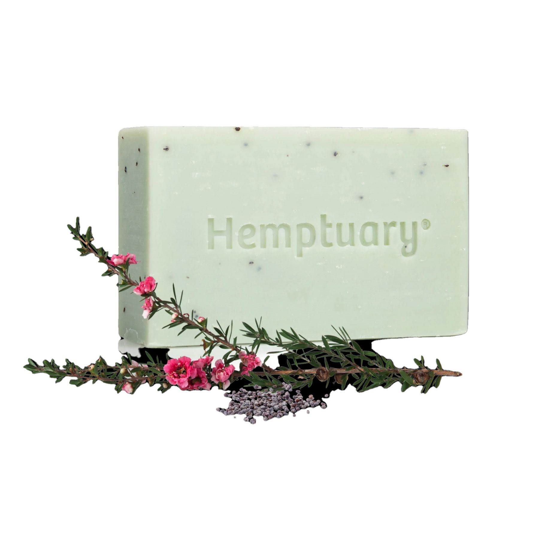 Xà Phòng Rửa Mặt & Cơ Thể Từ Hạt Gai Dầu Hemptuary Face and Body Soap 100g