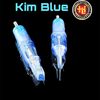 20 KIM XĂM ĐẦU ĐẠN BLUE TÔ MÀU 9M1