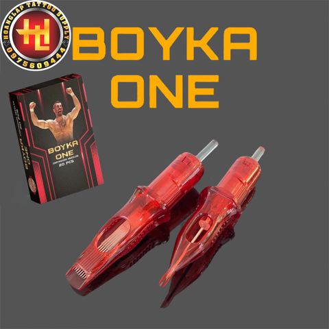  KIM XẮM ĐẦU ĐẠN ĐI NÉT 15RL BOYKA ONE ( 20 Cây ) 