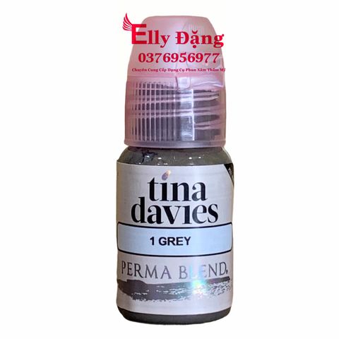  MỰC PHUN XĂM PERMA BLEND TINA GREY ( SỐ 1 ) 