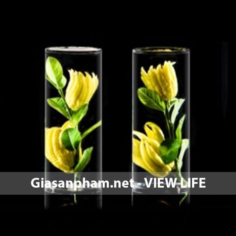 Quả phật thủ ướp Nhân đôi hạnh phúc HTH200 Quả phật thủ ướp Nhân đôi hạnh phúc HTH200