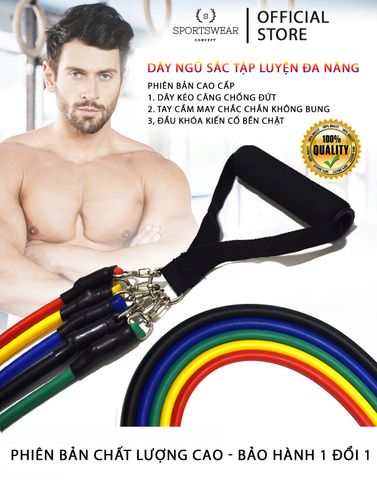  Dây ngũ sắc tập gym fitness thể thao cao cấp 11 bộ dụng cụ 100lbs Sportswear Concept đàn hồi căng đều bền chắc 