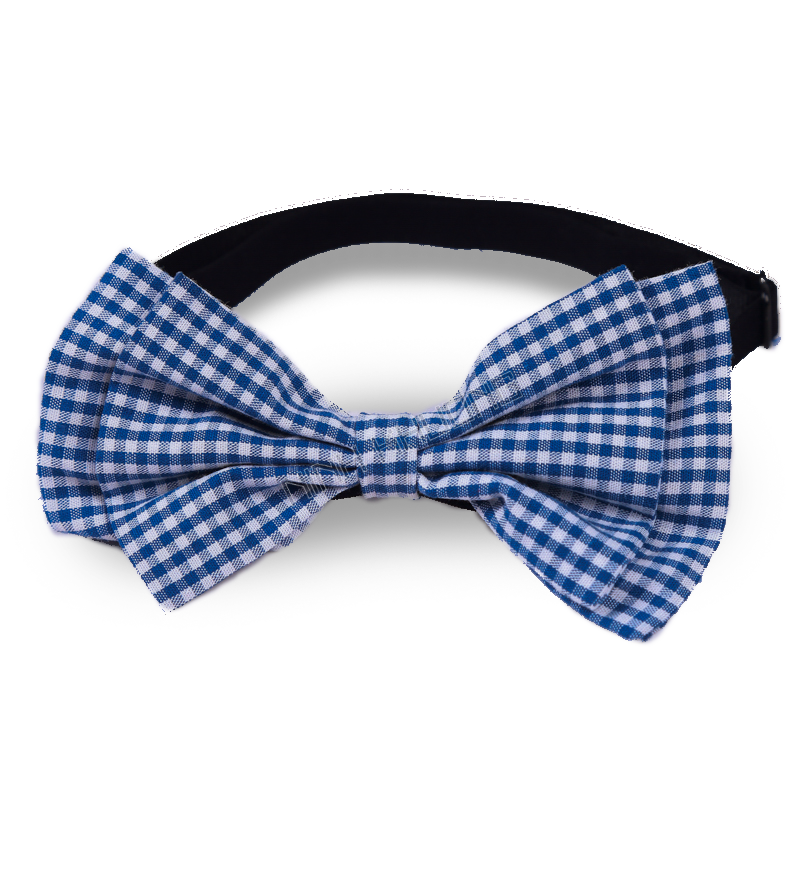 Boy's necktie