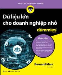 Dữ liệu lớn cho doanh nghiệp nhỏ for dummies