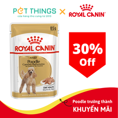 Pate Chó Royal Canin Poodle Adult 85g