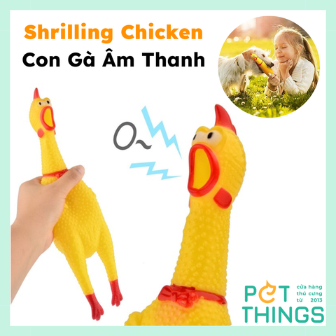 Shrilling Chicken - Con Gà Âm Thanh