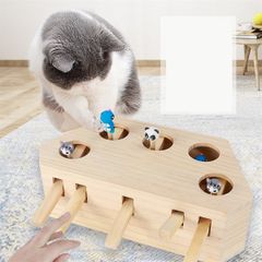 Đồ chơi mèo hộp gỗ 5 lỗ