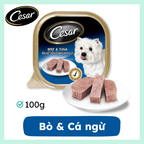 Pate Chó Cesar Beef & Tuna 100g