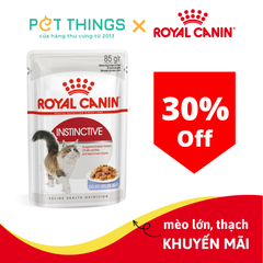 Pate mèo Royal Canin Adult Instinctive in Jelly 85g