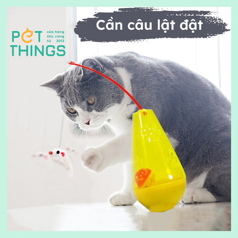 Cần câu lật đật