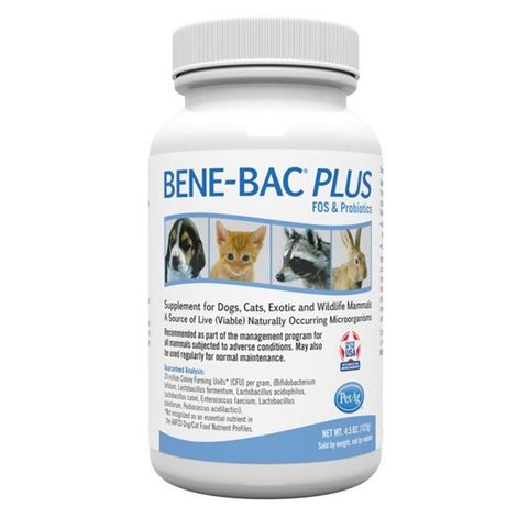 PetAg Bene-Bac Plus FOS & Probiotics hỗ trợ tiêu hóa dạng bột 127g