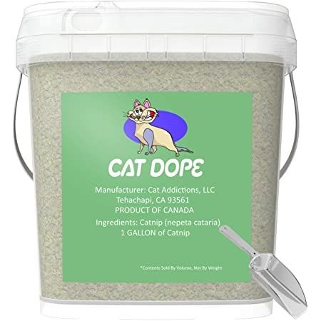 Cat Dope catnip bạc hà mèo Made in Canada 28g