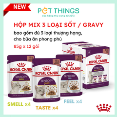 Pate cho mèo Royal Canin Sensory Sốt mix 3 loại Mixed Box Gravy hộp 12 gói 85gx12
