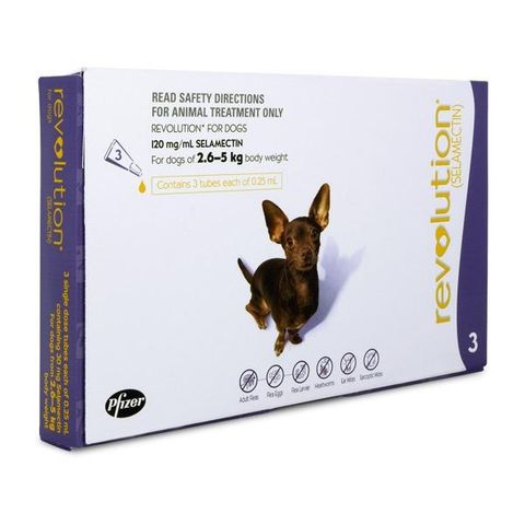 Revolution Dogs 2.6 - 5kg