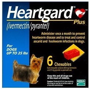 Heartgard Plus phòng giun tim cho Chó <11kg