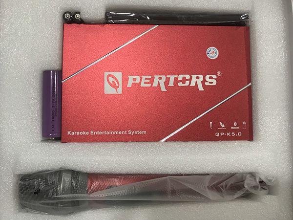 Pertors - Bộ micro không dây hát Karaoke trên ô tô