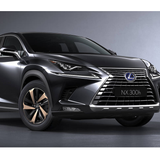 Cửa hít xe Lexus NX 300 - Slamstop For Lexus NX 300