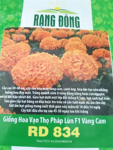 Vạn Thọ Pháp Lùn F1 ( vàng cam) RD 834
