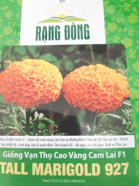 Vạn Thọ Cao (vàng cam) Lai F1 TALL MẢIGOLD 927 - RD