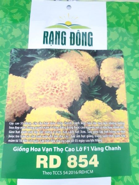 Vạn Thọ Cao Lỡ F1 ( Vàng Chanh) RD 854