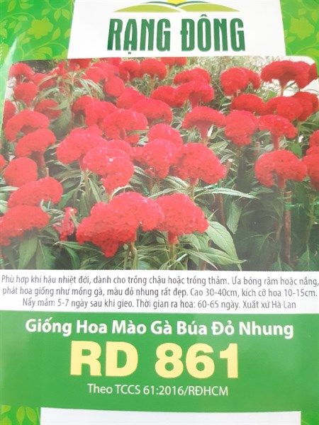 Mào Gà Búa Đỏ Nhung RD 861