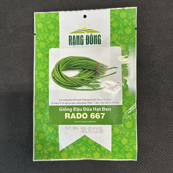 Đậu đũa hạt đen RD 667
