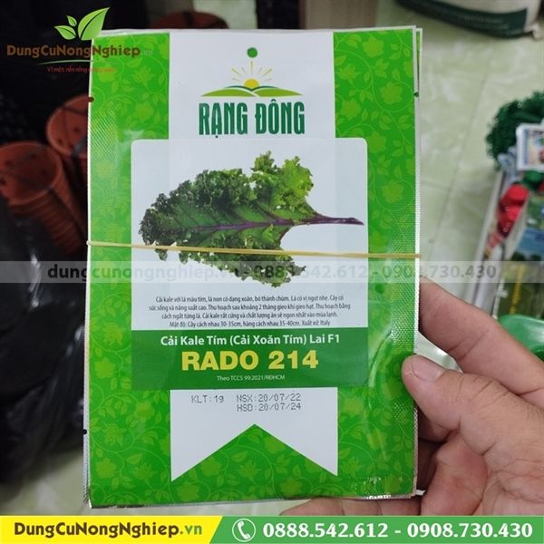 Cải kale Tím (xoăn tím) lai F1 RD 214