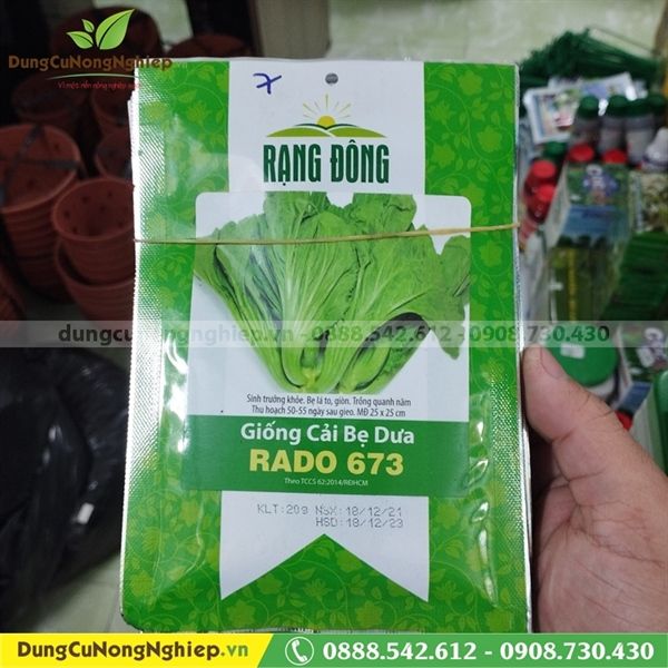 Cải bẹ dưa 673