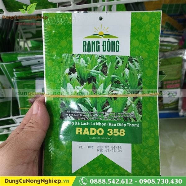 Xà lách lá nhọn (rau diếp thơm) RD 358