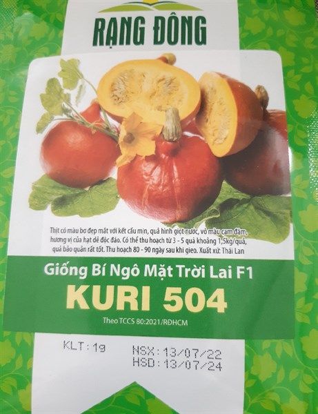 Bí ngô mặt trời lai F1 KURI 504