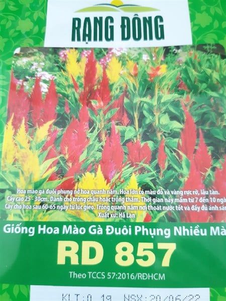 Mào Gà Đuôi Phụng nhiều màu RD 857