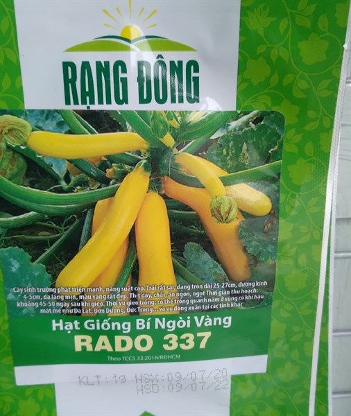 Bí ngòi vàng 337