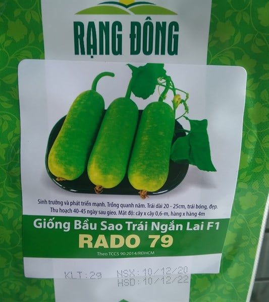 Bầu sao trái ngắn RD 79