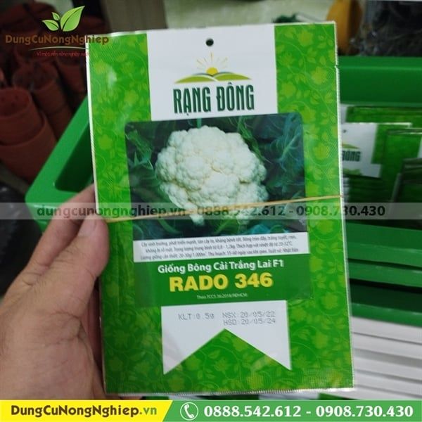 Bông cải trắng lai F1 Rado 346