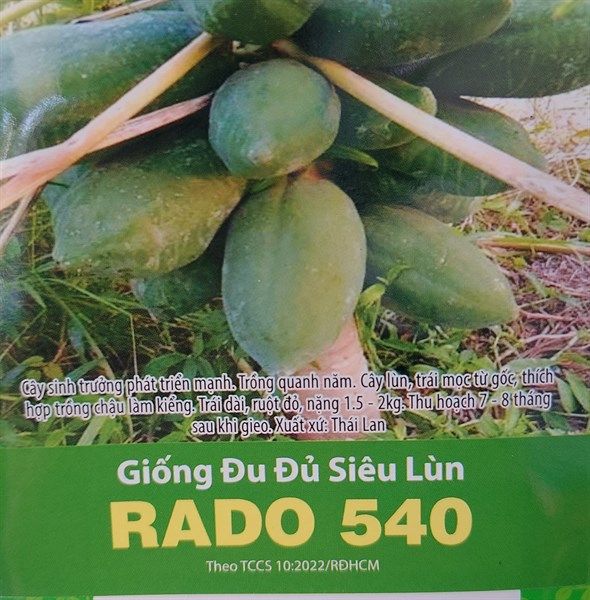 Đu Đủ Siêu Lùn Rado 540