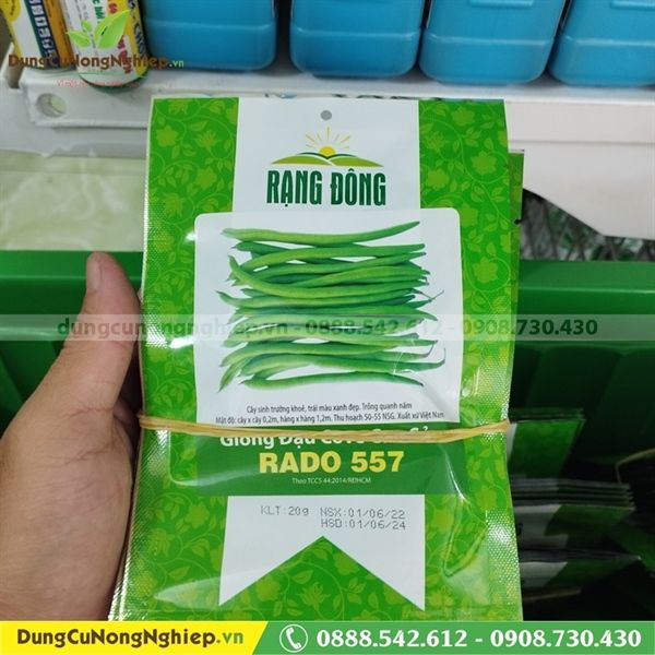Đậu Cove cao sản 557