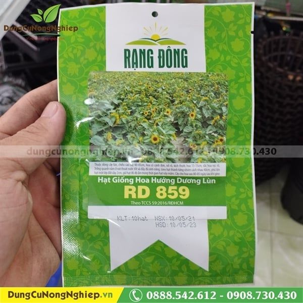 Hoa Hướng Dương Lùn RD 859