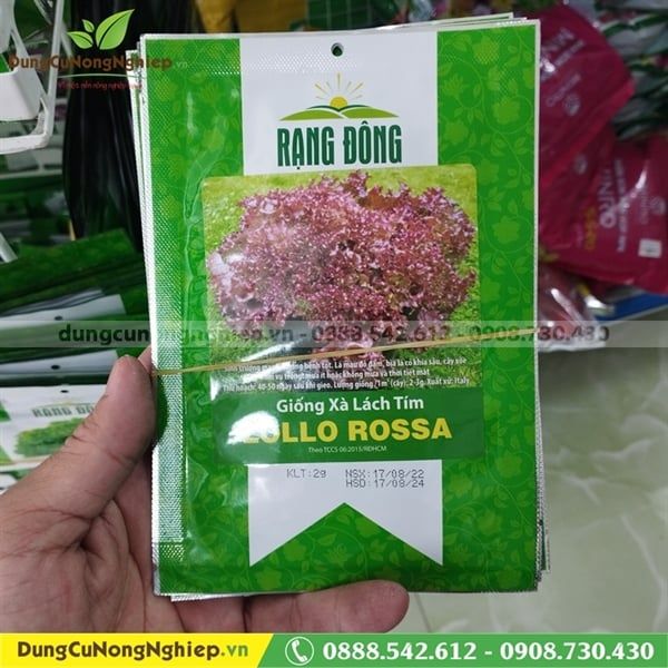 Xà lách tím Lolo Rossa