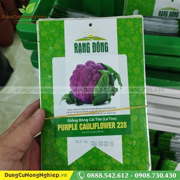 Bông cải tím (Lơ tím) RD 228